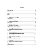 Referāts 'Ilgtspējīgas energoapgādes iespējas konkrētā pagastā', 6.