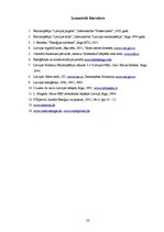 Referāts 'Ilgtspējīgas energoapgādes iespējas konkrētā pagastā', 33.