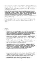 Referāts 'Atkritumi', 17.