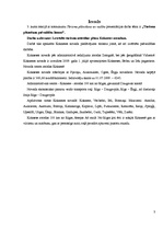 Referāts 'Kokneses novads', 3.