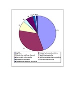 Referāts 'Kokneses novads', 18.