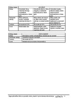 Biznesa plāns 'Rīgas pašvaldības bērnu un jauniešu centra "Imanta" sporta laukuma rekonstrukcij', 11.