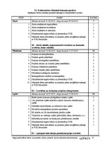 Biznesa plāns 'Rīgas pašvaldības bērnu un jauniešu centra "Imanta" sporta laukuma rekonstrukcij', 23.