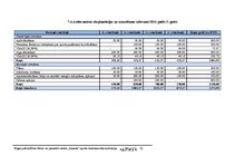 Biznesa plāns 'Rīgas pašvaldības bērnu un jauniešu centra "Imanta" sporta laukuma rekonstrukcij', 32.