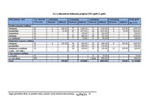 Biznesa plāns 'Rīgas pašvaldības bērnu un jauniešu centra "Imanta" sporta laukuma rekonstrukcij', 36.