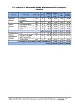 Biznesa plāns 'Rīgas pašvaldības bērnu un jauniešu centra "Imanta" sporta laukuma rekonstrukcij', 71.