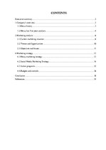 Referāts 'The Company "Meizu"', 1.