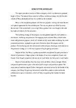 Referāts 'The Company "Meizu"', 2.