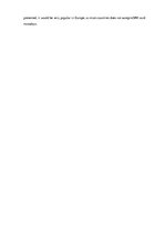 Referāts 'The Company "Meizu"', 5.