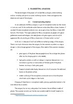 Referāts 'The Company "Meizu"', 6.