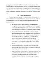 Referāts 'The Company "Meizu"', 10.