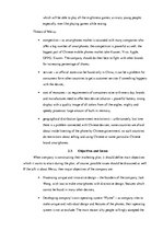 Referāts 'The Company "Meizu"', 11.