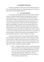 Referāts 'The Company "Meizu"', 13.