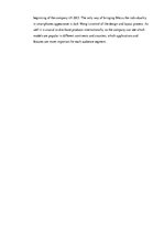 Referāts 'The Company "Meizu"', 17.