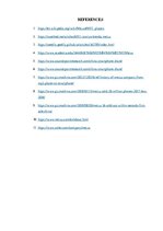 Referāts 'The Company "Meizu"', 19.