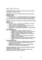 Referāts 'Komercdarbības pamati', 19.