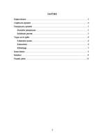 Biznesa plāns 'Trenažieru zāle "Lāsums"', 2.