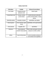 Biznesa plāns 'Trenažieru zāle "Lāsums"', 8.