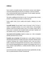 Konspekts 'Uzvedības etiķete Krievijā', 1.