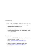 Eseja 'Metaforu lietojuma biežums žurnāla "Ieva" interviju slejās', 6.