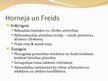 Prezentācija 'Karena Horneja: biogrāfija un teorijas', 9.