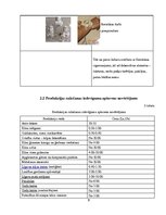 Biznesa plāns 'Kāzu salons', 9.