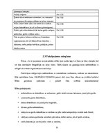 Biznesa plāns 'Kāzu salons', 10.