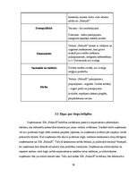 Biznesa plāns 'Kāzu salons', 16.