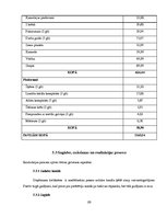 Biznesa plāns 'Kāzu salons', 23.