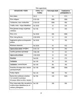 Biznesa plāns 'Kāzu salons', 31.