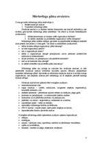 Konspekts 'Mārketinga plāns: kā rakstīt?', 4.