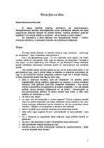 Konspekts 'Mārketinga plāns: kā rakstīt?', 5.