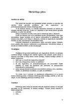 Konspekts 'Mārketinga plāns: kā rakstīt?', 10.