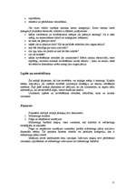 Konspekts 'Mārketinga plāns: kā rakstīt?', 11.