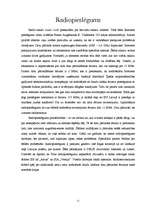 Referāts 'Interneta pakalpojumu sniedzēji Latvijā', 11.