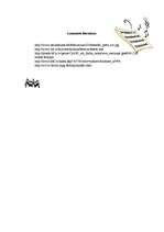 Referāts 'Georgs Frīdrihs Hendelis', 3.