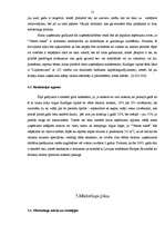 Referāts 'Lauku mājas "Ventas Sakta"', 12.