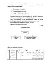 Referāts 'Lauku mājas "Ventas Sakta"', 17.