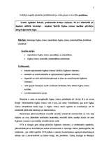 Referāts 'Kritēriju kopas čigānu (romu) tautības sociālo problēmu idenficēšanā', 5.