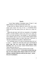 Konspekts 'Starptautiskā zīmola klonēšana, atdarināšana', 2.