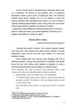 Konspekts 'Starptautiskā zīmola klonēšana, atdarināšana', 3.