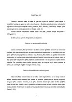 Referāts 'Lakross no fizioterapijas viedokļa', 3.