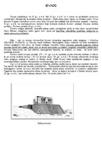 Referāts 'Zikurātu arhitektūra', 3.