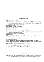 Prakses atskaite 'Pacienta slimības vēsture', 4.