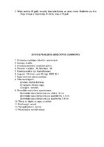 Prakses atskaite 'Pacienta slimības vēsture', 5.