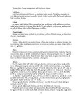 Referāts 'Dabas parādības atmosfērā', 13.