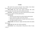 Referāts 'Ūdens cietība un tās noteikšana', 2.