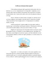 Referāts 'Veselīga uztura un sporta nodarbību ietekme uz 16-25 gadu veciem sportistiem', 13.