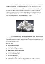 Referāts 'Veselīga uztura un sporta nodarbību ietekme uz 16-25 gadu veciem sportistiem', 16.