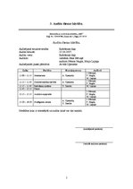 Referāts 'Audits', 5.